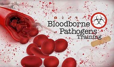 Bloodborne Pathogens Class - CPR N More - Los Angeles Premier CPR